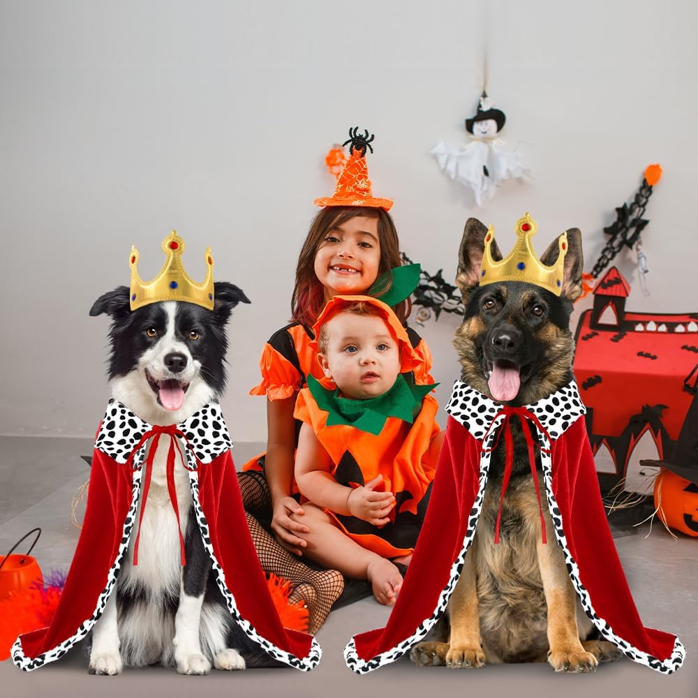 Thumbnail 6 de Vellibring VB-US-HA326M1P1 Dog King Costume with Adjustable Cape and Crown