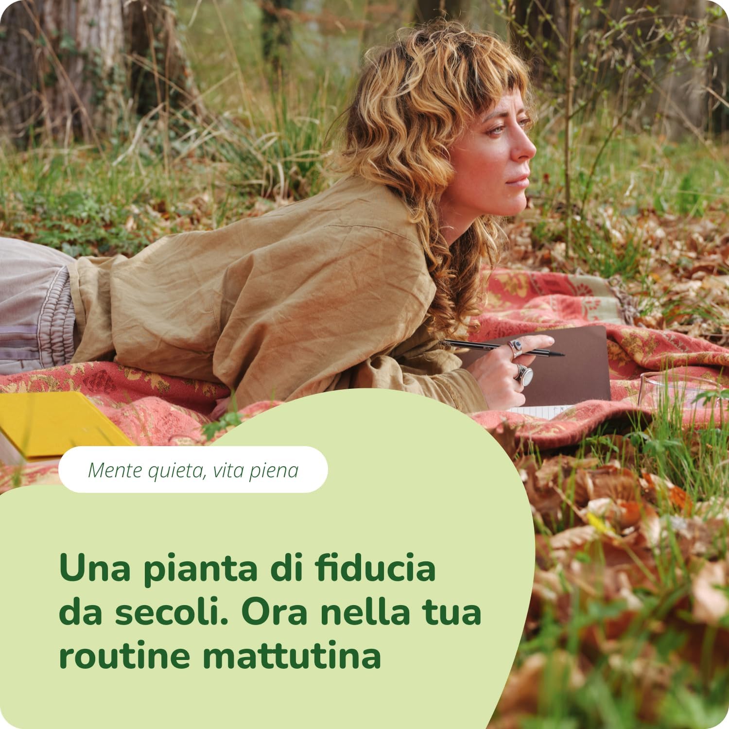 Detalle de BACOPA MONNIERI BIO Vegavero® 750 mg – Brahmi bio nootropico, 180 compresse vegane
