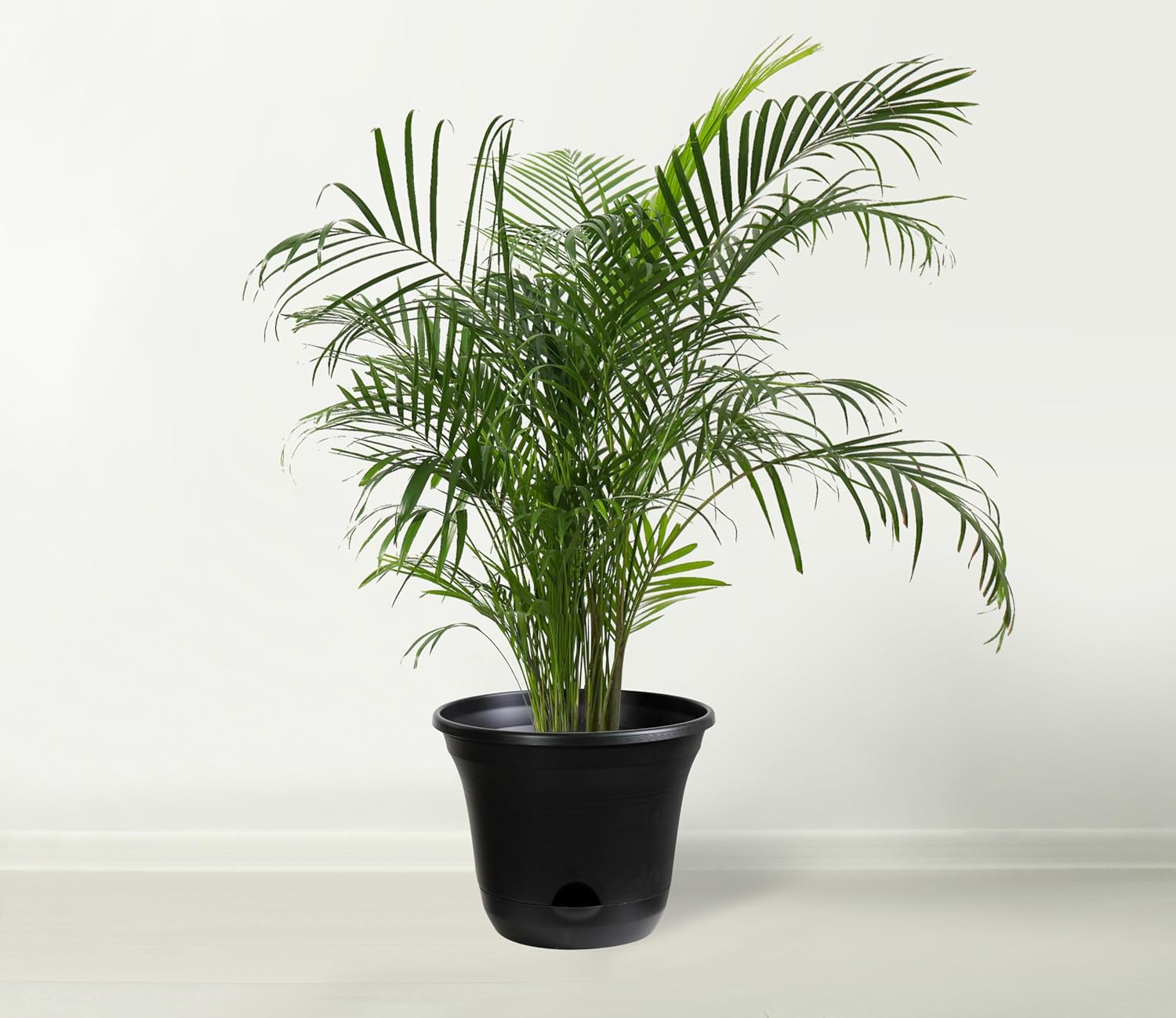Thumbnail 2 de Olly & Rose San Marino Lazy Planters 25cm