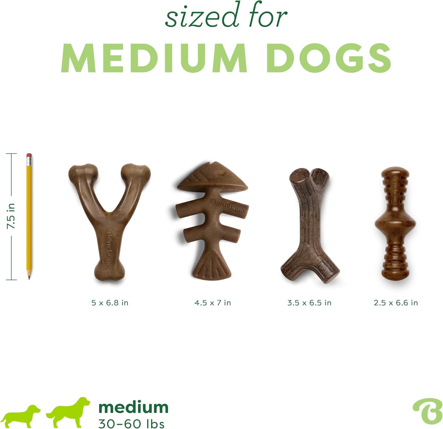 Detalle de Benebone Boîte de Jouets à mâcher Durable pour Chien – Wishbone, Fishbone, bâton et zaggler (Taille M) Lot de 4
