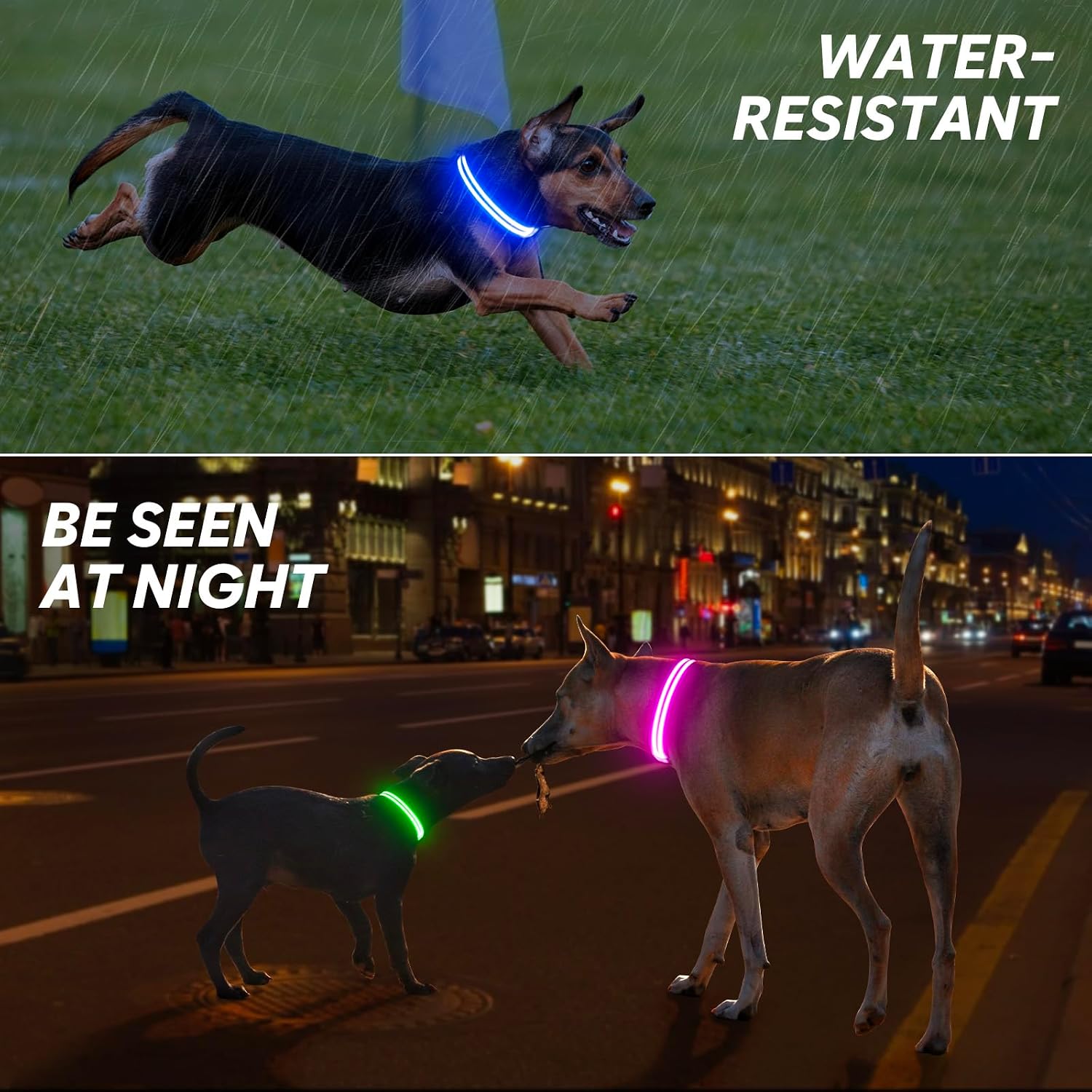 Thumbnail 6 de Weesiber LED dog collar, small
