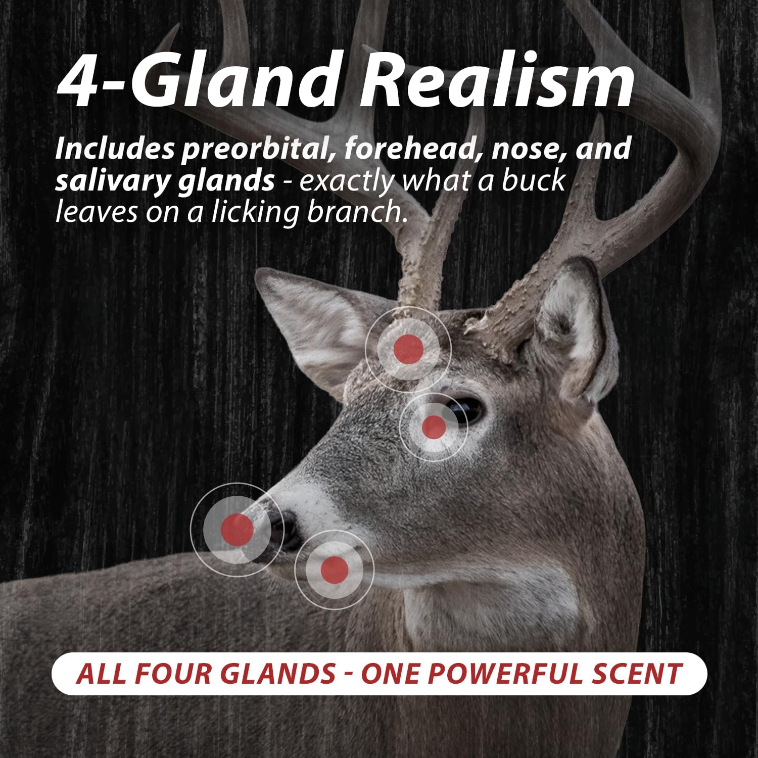 Detalle de Outdoor Hunting Lab Deer Scent, Four-Gland