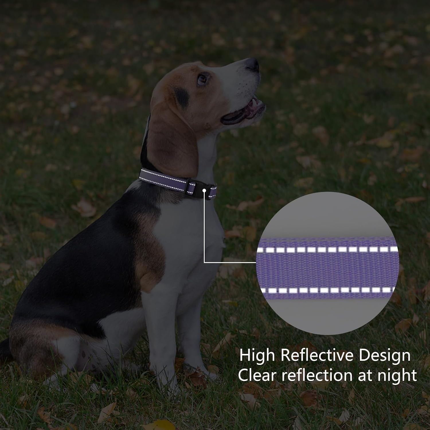 Detalle 1 de penseepet Purple Reflective Dog Collar, Large Adjustable Nylon with Neoprene Padding