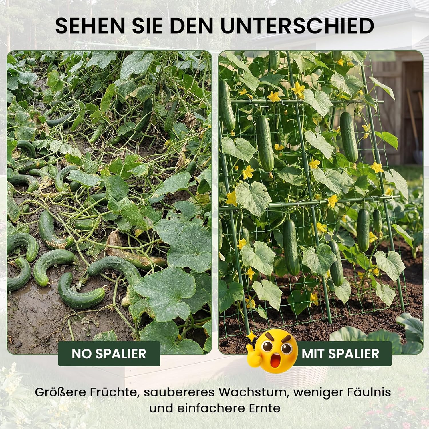 Detalle de ZIKEBTUY Rankhilfe für Gurken 120 x 120 cm – Metall-Rankbogen mit Gartenklammern und gedrehtem Riemen
