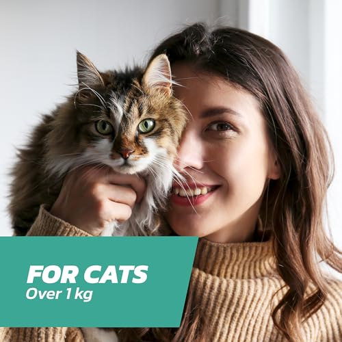Detalle 2 de Cat Flea Treatment Spot On x 6 – Flea & Tick Solution for Cats & Kittens Over 1kg