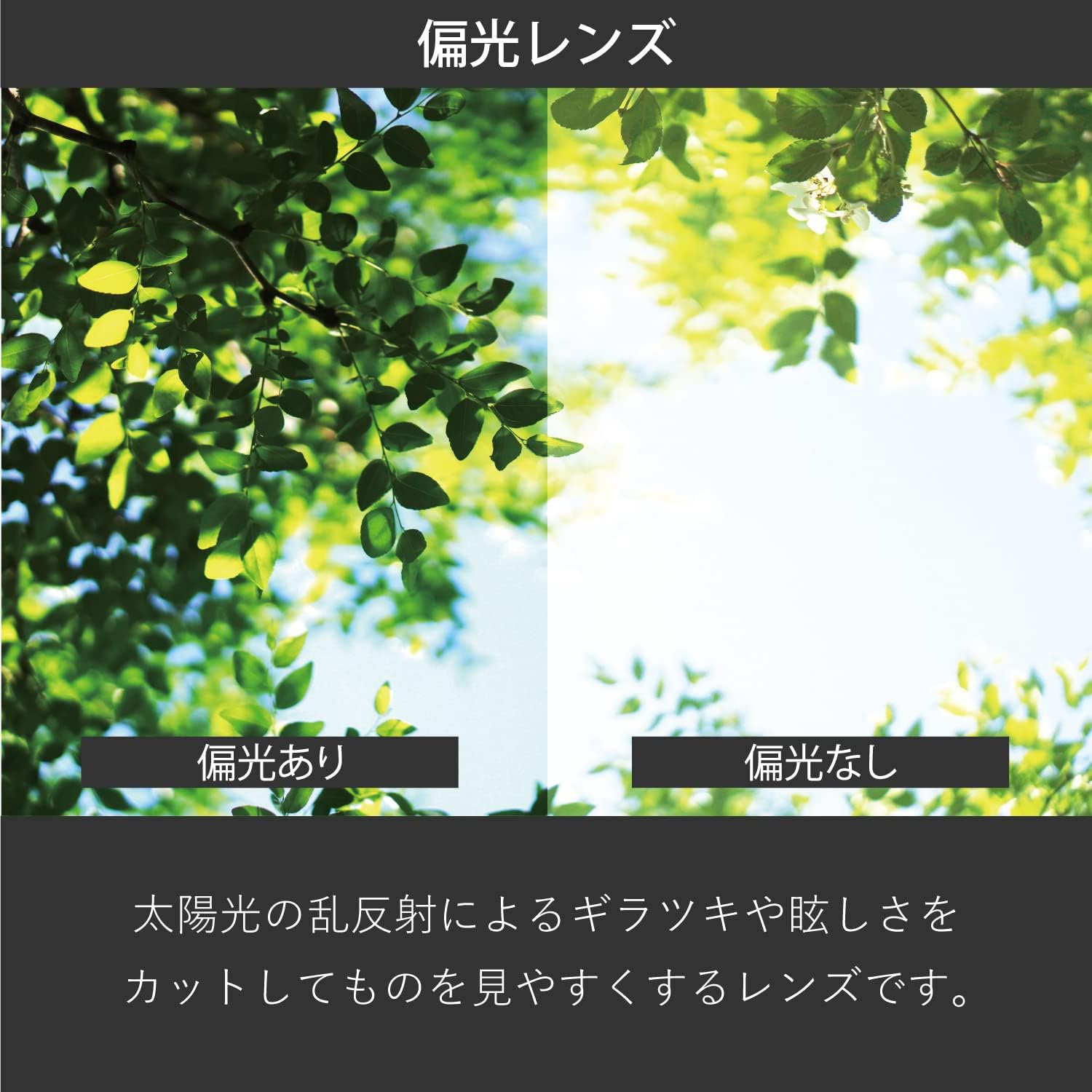 Detalle de スワンズ ER1-2 偏光・調光スポーツサングラス 日本製、可視光線透過率26%