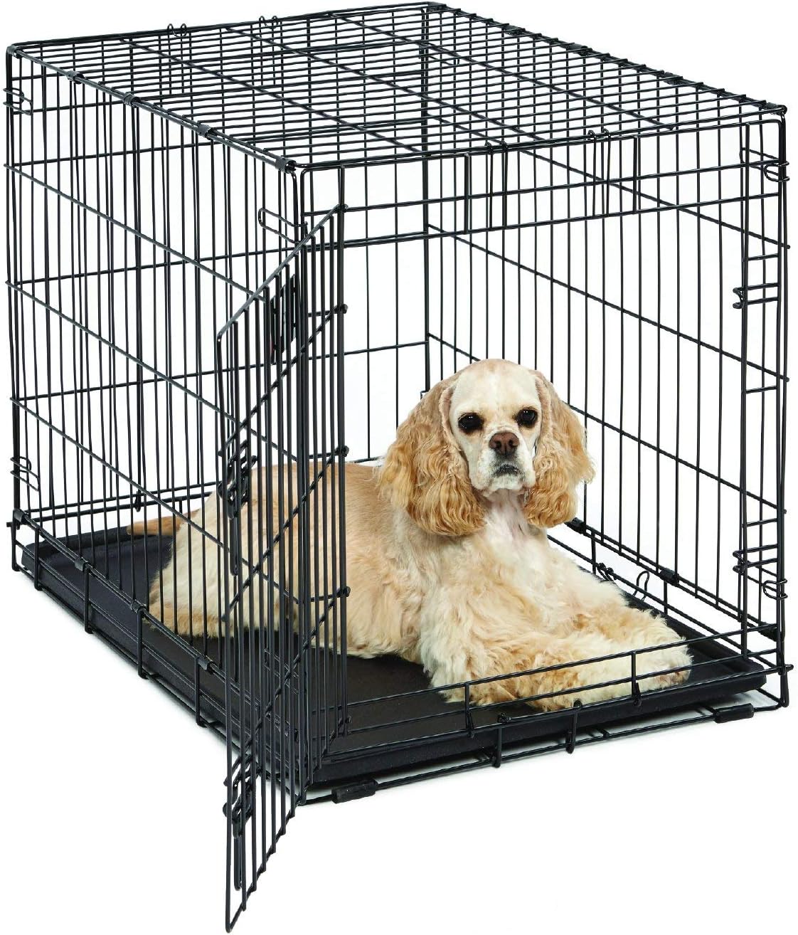 Gabbia per cani 76,2 cm MidWest 1630