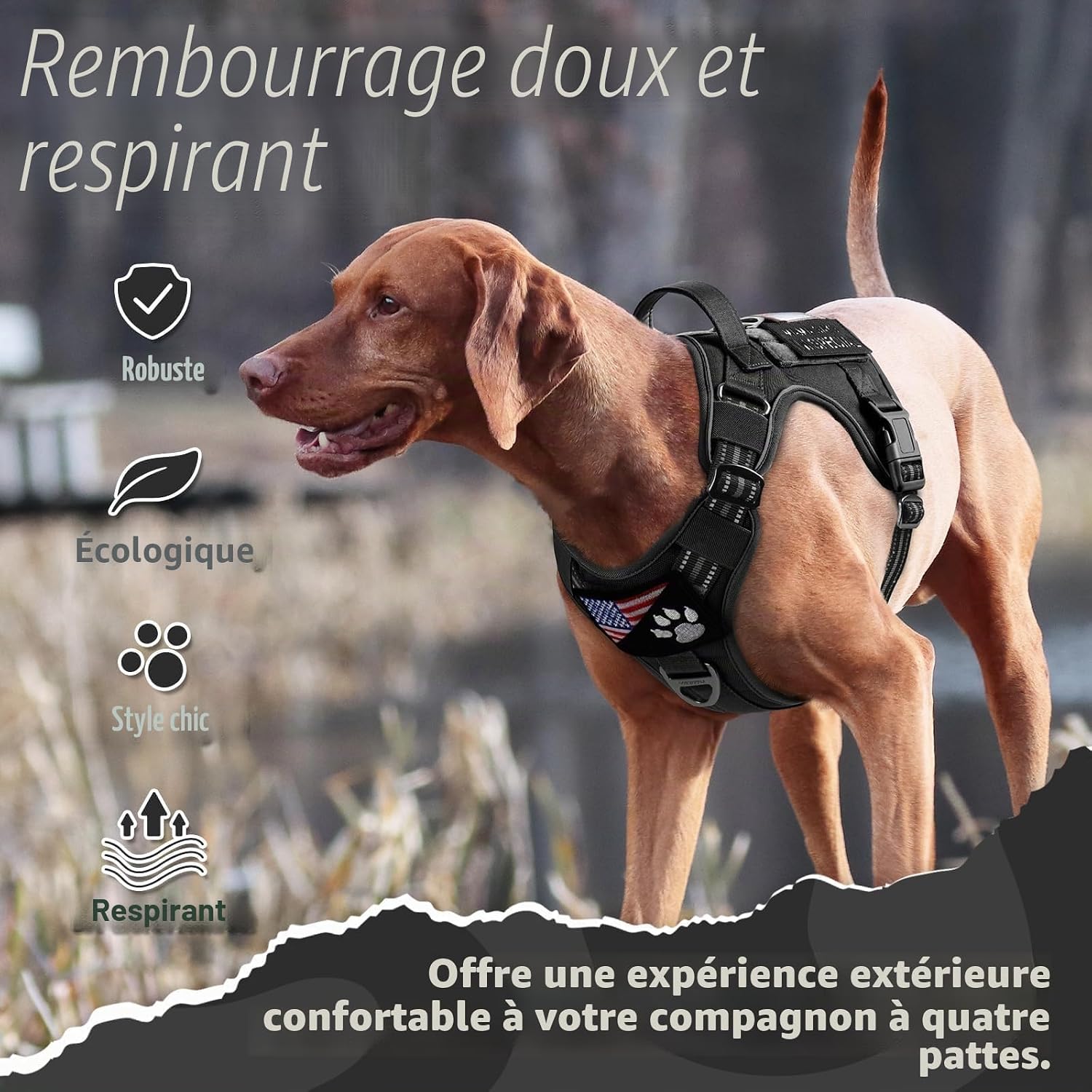 Thumbnail 6 de rabbitgoo Harnais Chien Anti Traction L 56-94 cm