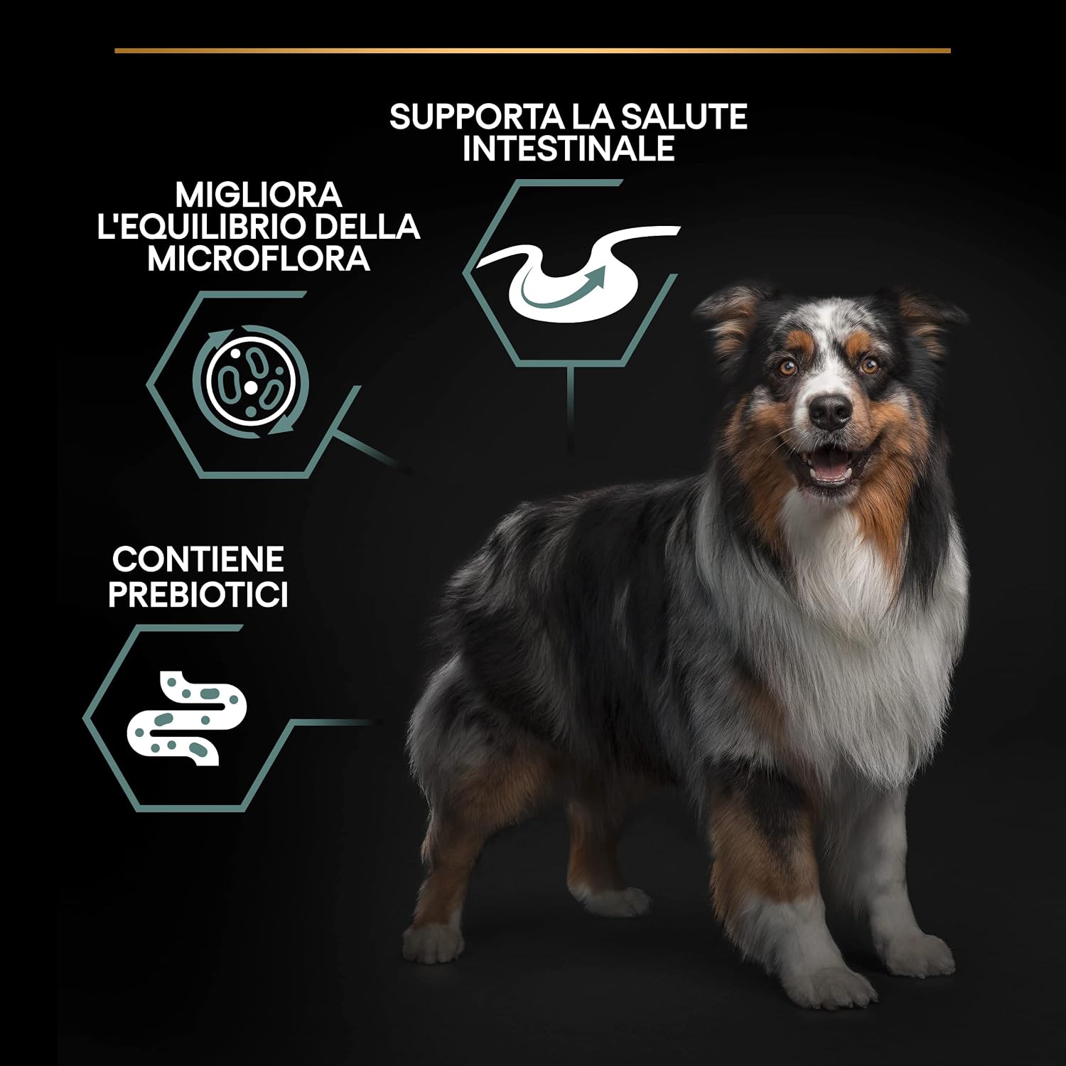 Thumbnail 2 de PURINA PRO PLAN Perro Adulto Mediano Digestión Sensible 🐶 3kg