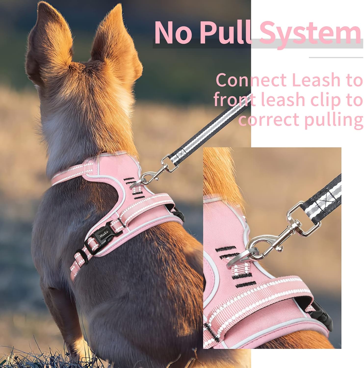 Thumbnail 6 de HEELE No-Pull Hundegeschirr – verstellbar, atmungsaktiv, reflektierend, Pink, Größe M