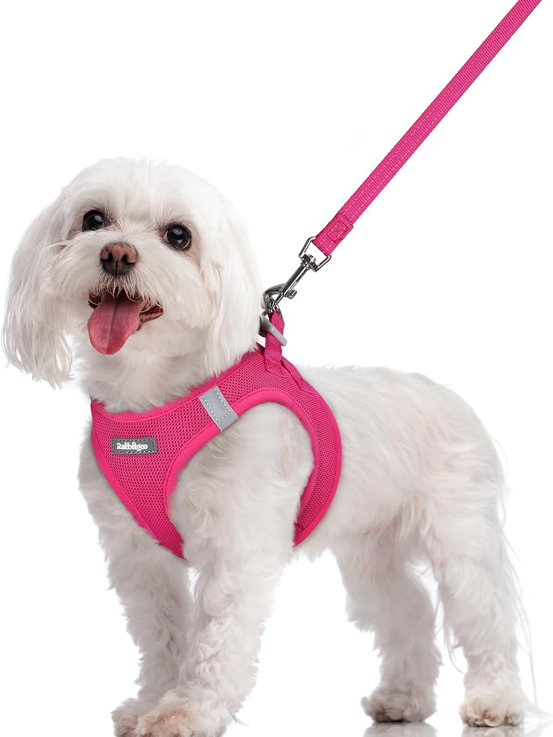 Detalle de rabbitgoo Dog Harness and Leash Set, Size M
