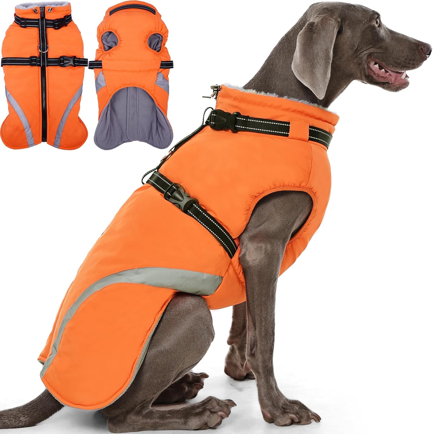 Detalle de QBLEEV Dog Winter Coat, L