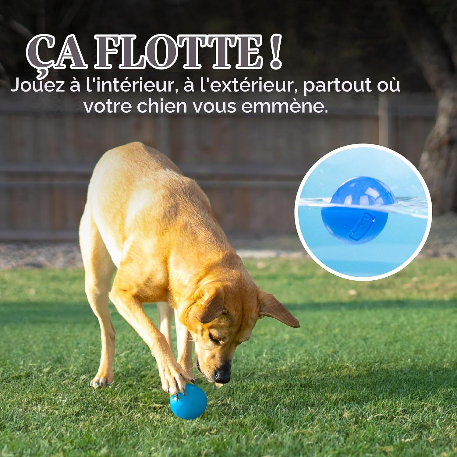 Thumbnail 5 de Planet Dog Orbee-Tuff Squeak-bal voor honden, blauw, piepend en drijvend