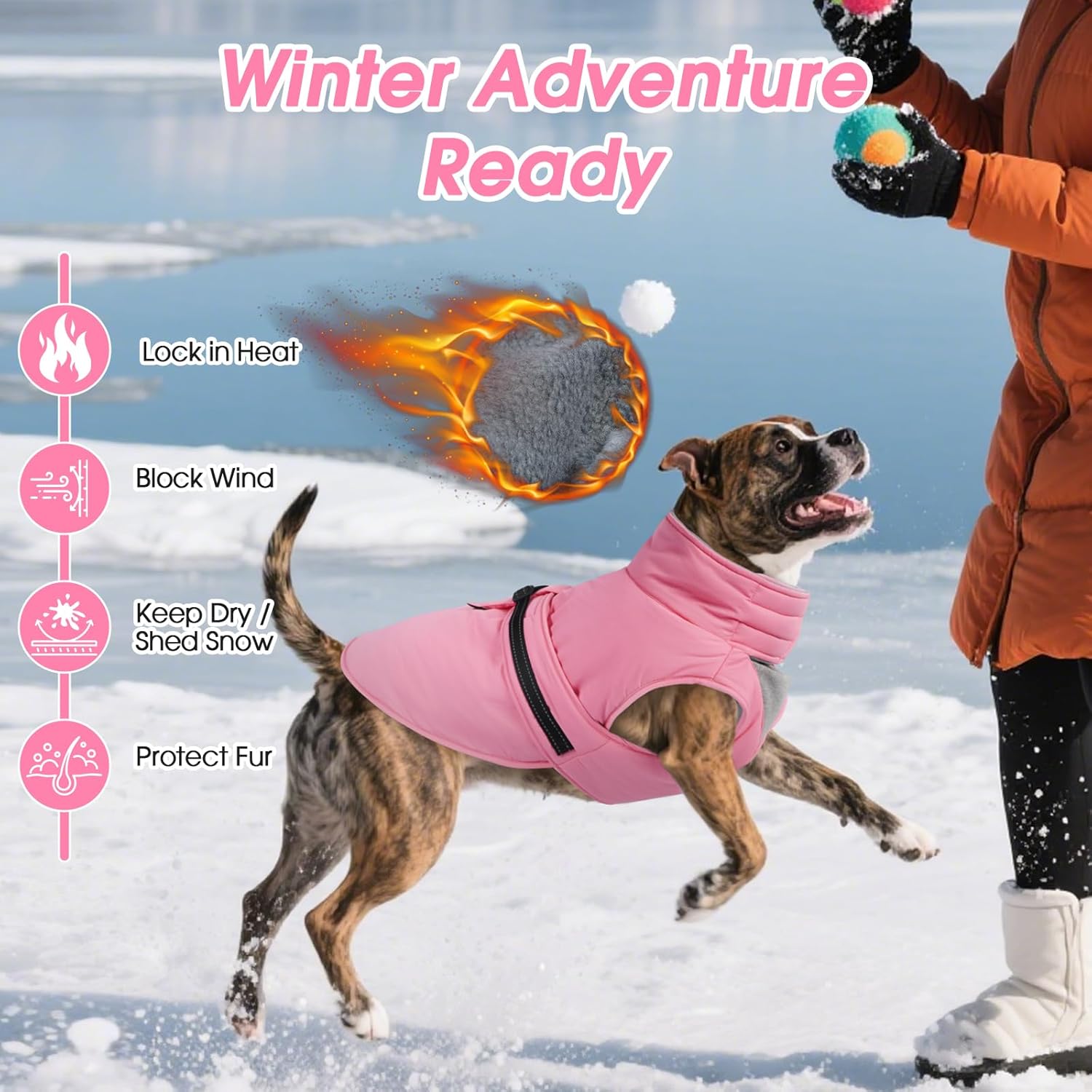 Thumbnail 5 de OUOBOB Warm Dog Winter Coat – Waterproof Jacket with High Collar & Reflective Strips, Pink (2XL)