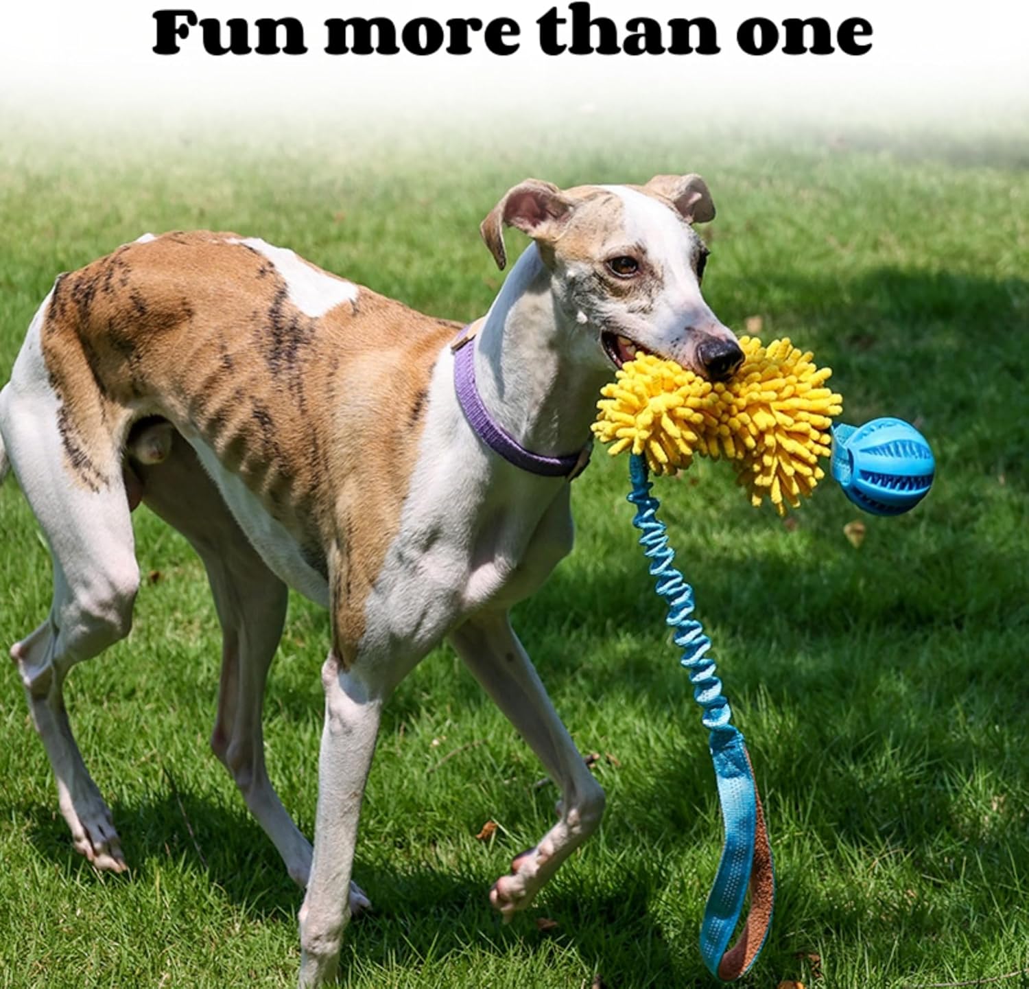 Thumbnail 5 de Whoolon Dog Toy Set for Small–Medium Dogs 🐶