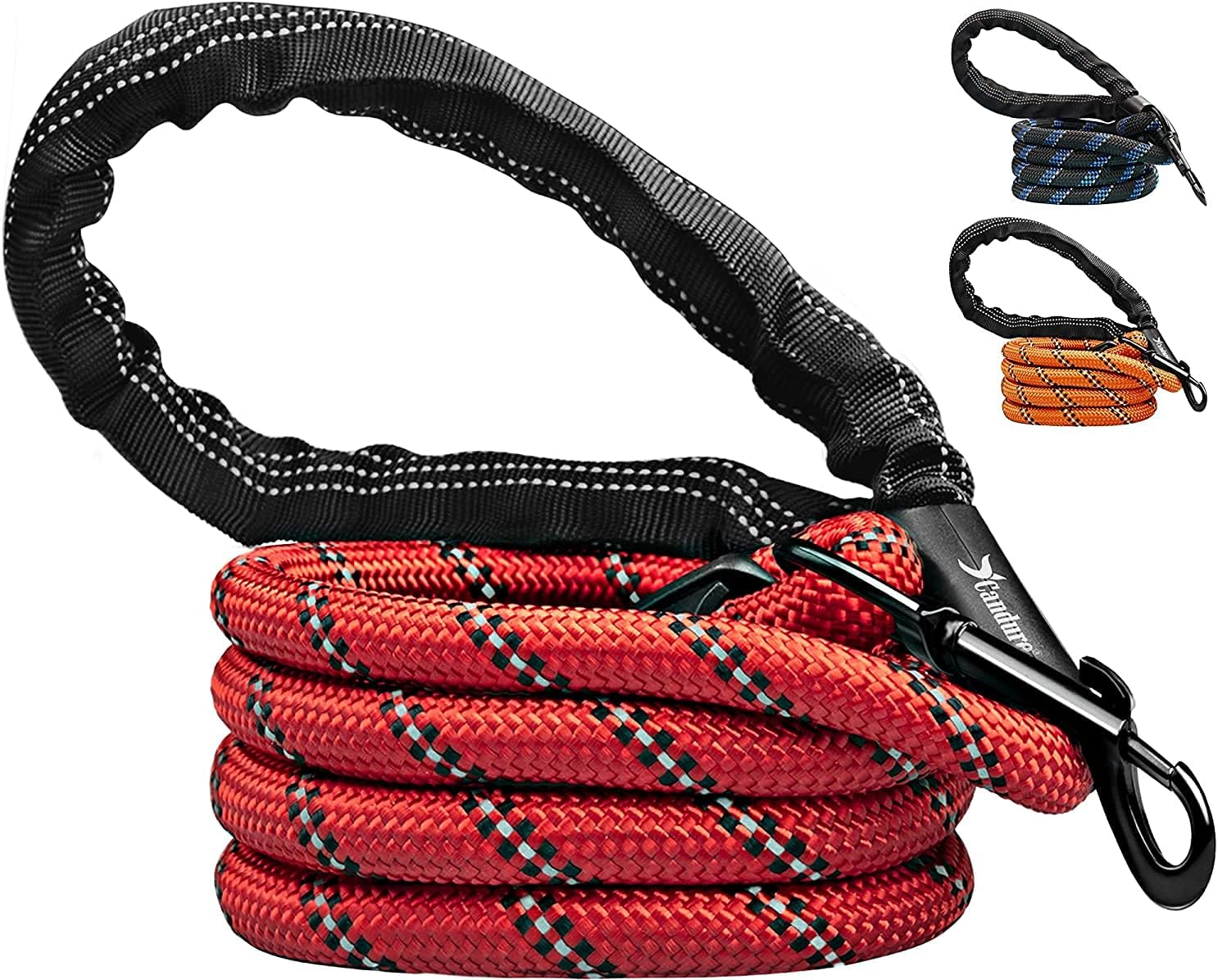 Detalle de Candure Guinzaglio per Cani Elastico Riflettente 5ft: Nylon, Impugnatura imbottita e Clip robusta
