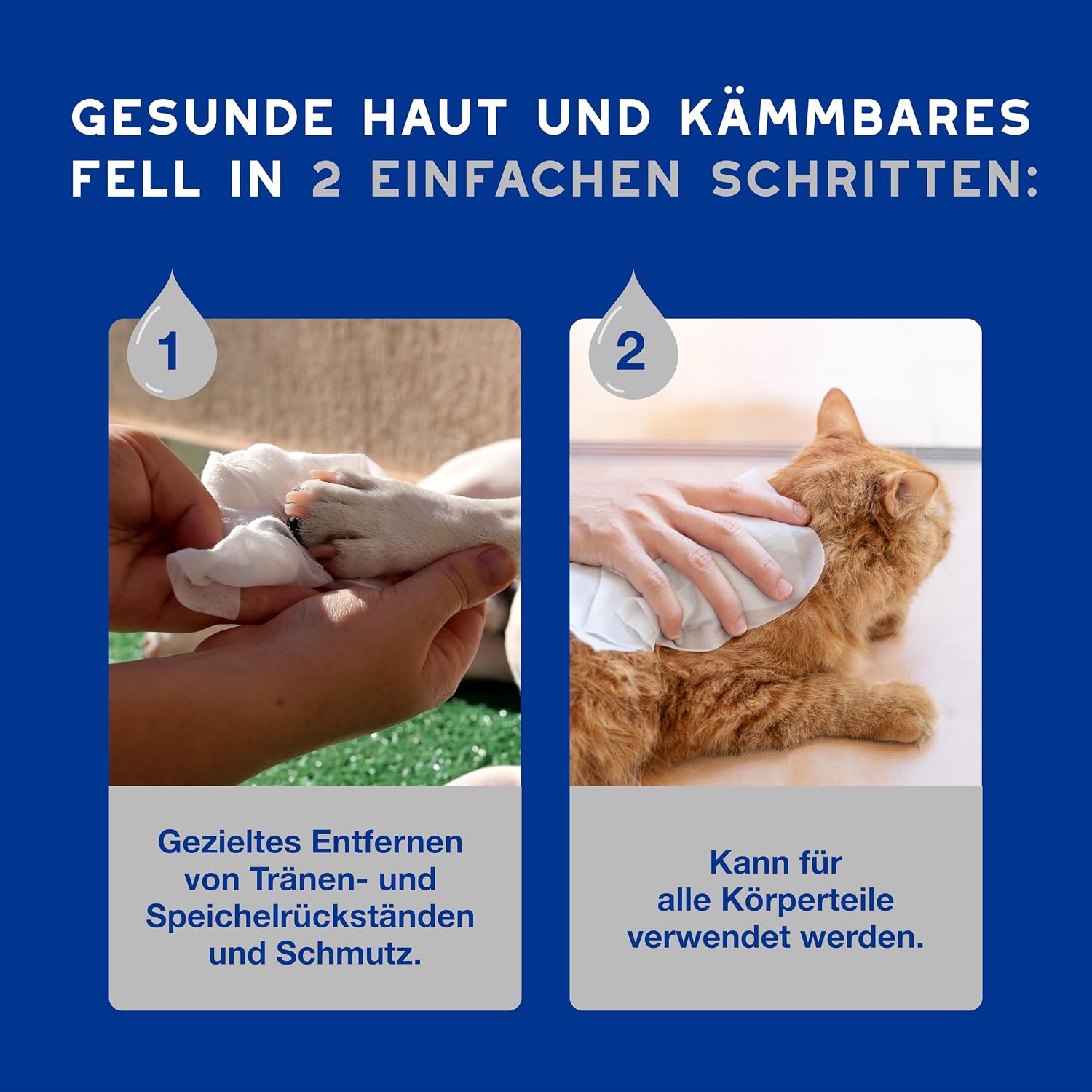 Detalle 2 de DOUXO Skin & Coat SPA – Ultra-Safe Feuchttücher für Hund und Katze, 100 Stück
