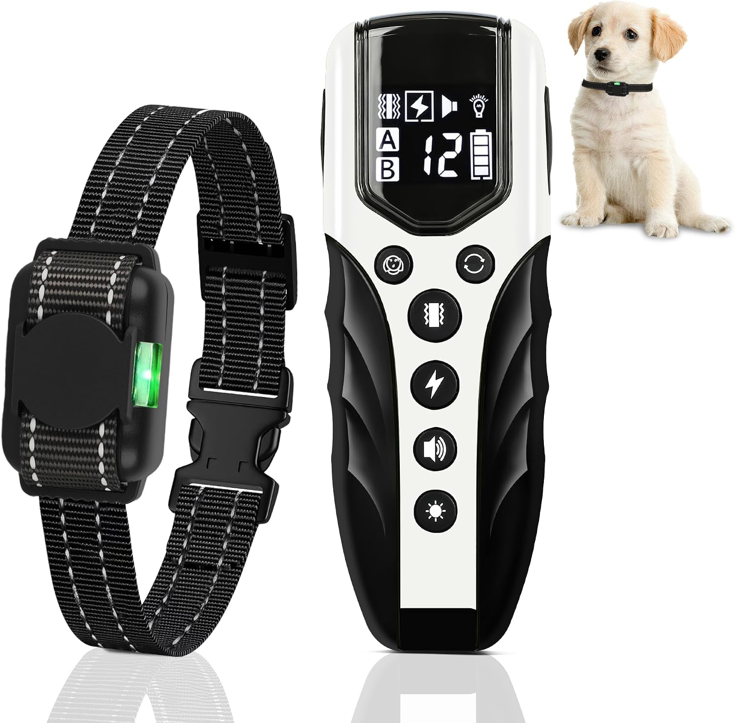 Collier Dressage Chien avec Télécommande – Le Plus Petit et Léger, Étanche IPX7, pour Chiots et Grands Chiens