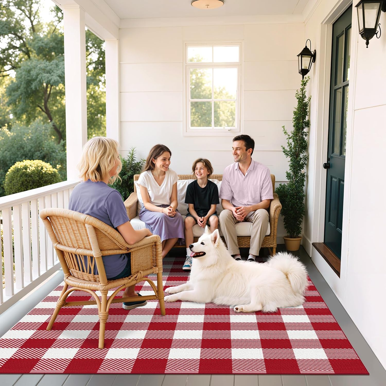 Thumbnail 6 de SofterCharm Outdoor Area Rug, 4' x 6