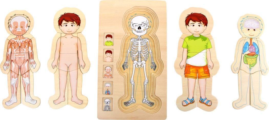 Detalle 2 de Small Foot Company Anatomia Ragazzo puzzle in legno con 29 pezzi (2019618)