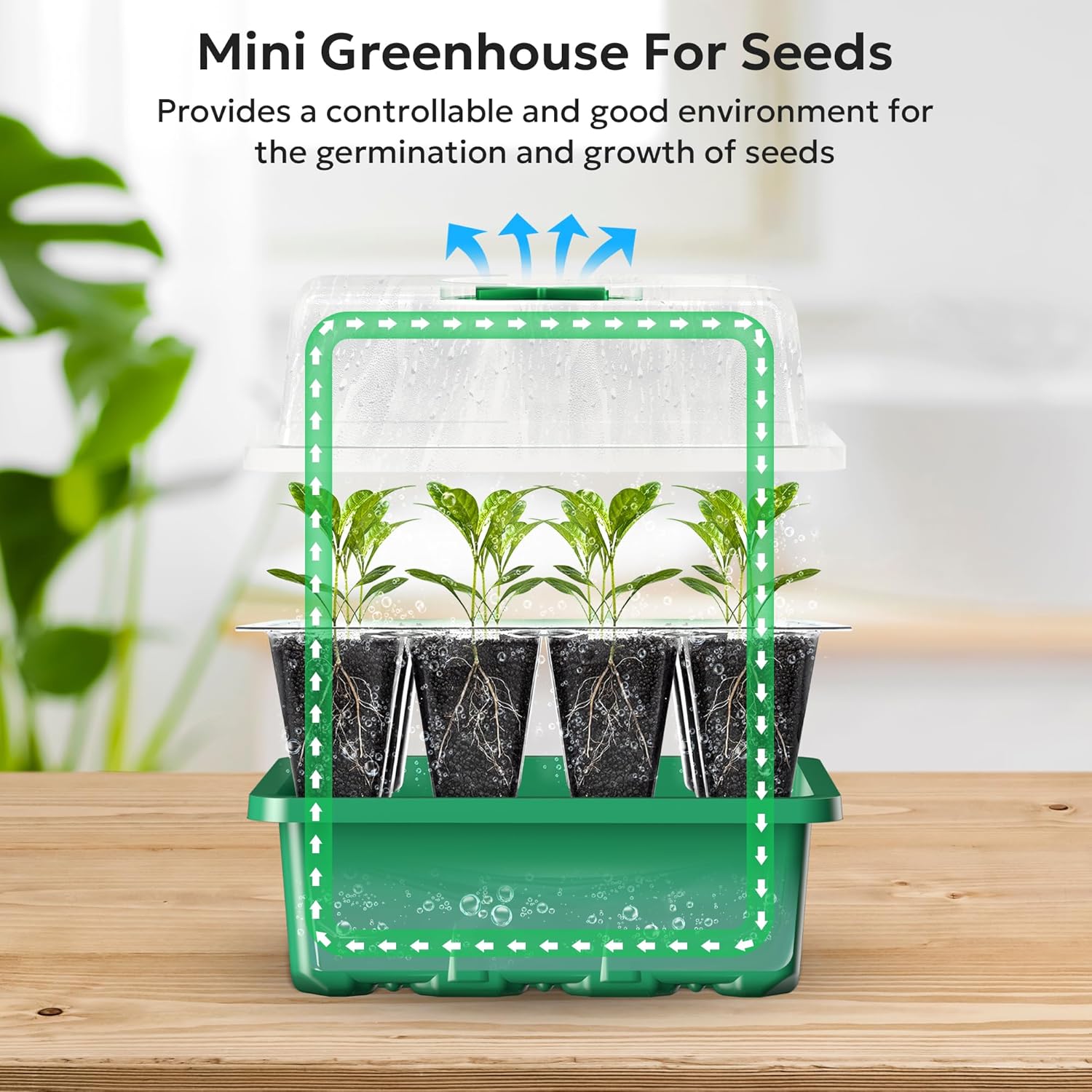 Thumbnail 3 de MIXC Seed Trays 120-Cell Kit (10 Pack) with Lids, Base Trays, Humidity Domes and Labels