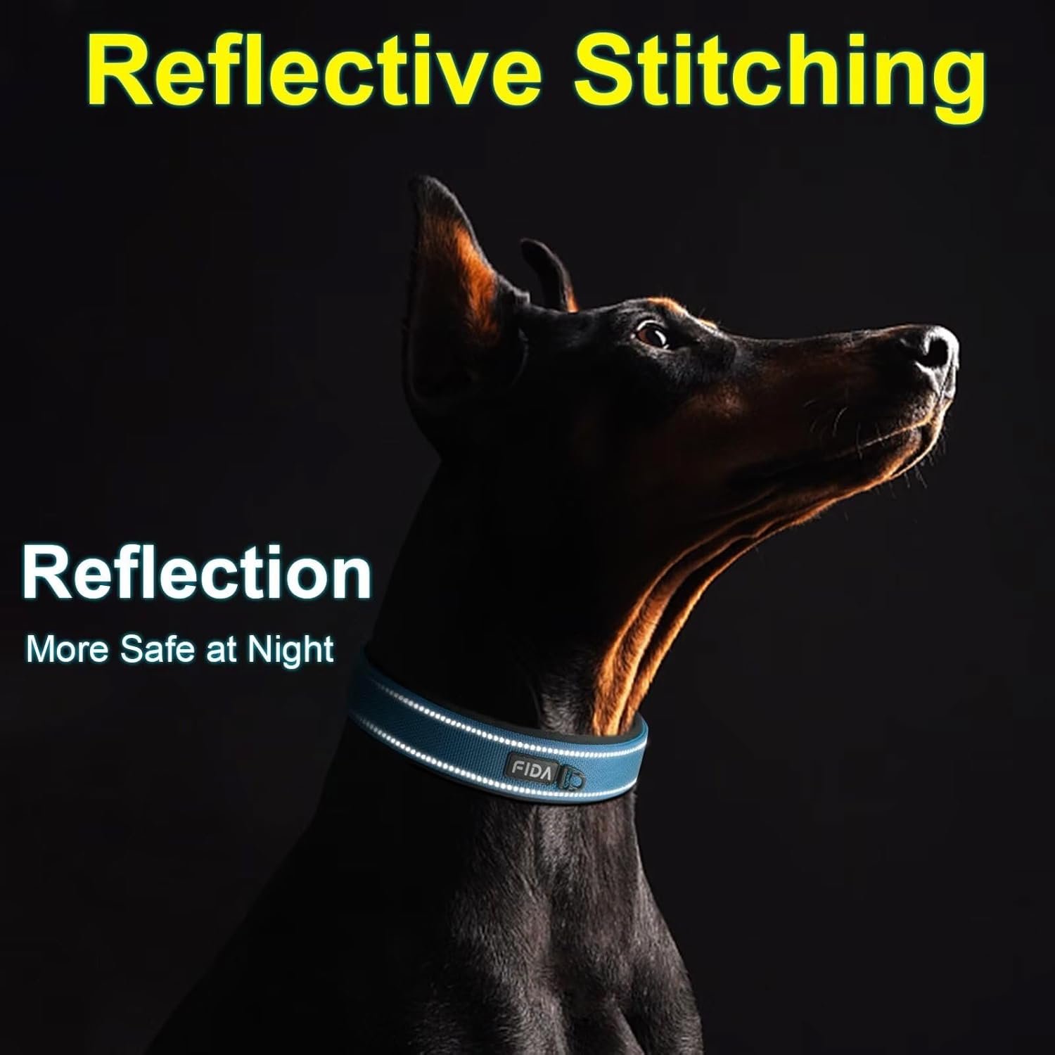 Detalle 2 de Fida Padded Dog Collar with Metal Belt Buckle – Heavy Duty Double-Layer Webbing (Blue)