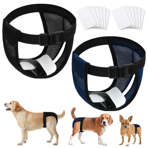 Detalle de Aomig Pannolini per cani femmina Riutilizzabili M con 6 cuscinetti