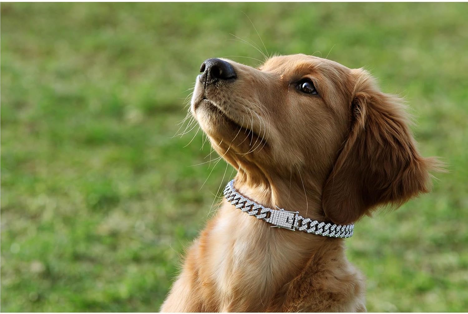 Detalle de Rhinestone Dog Chain Collar, 16-Inch
