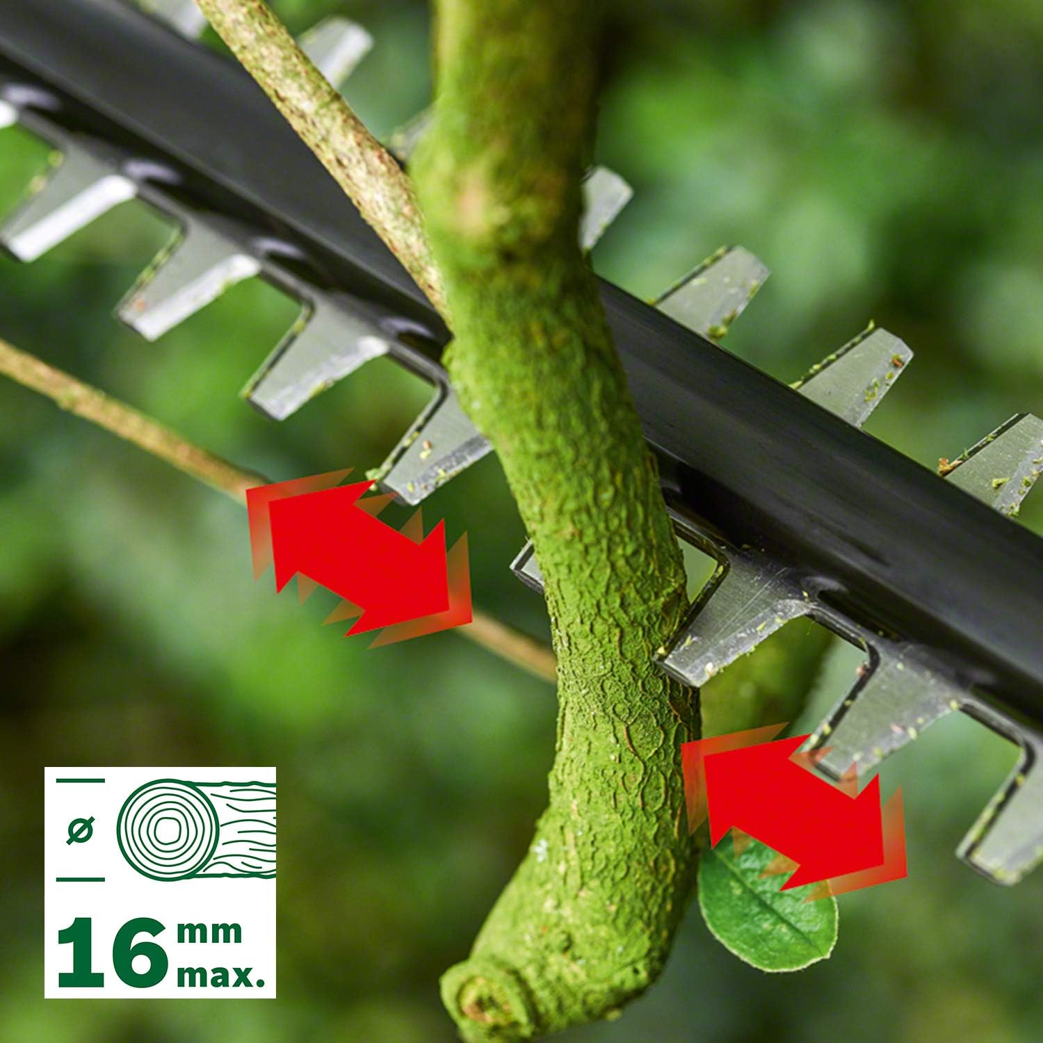 Detalle 2 de Bosch taille-haies télescopique sans fil UniversalHedgePole 18 (1 batterie 18V)