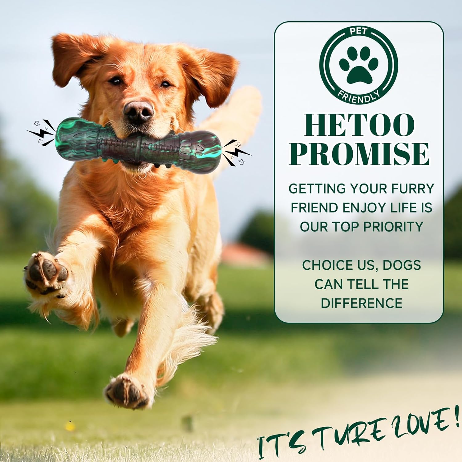 Thumbnail 6 de HETOO Indestructible Skull Chew Toy for Aggressive Chewers (Natural Rubber) – Squeaker, Tough Stick Style