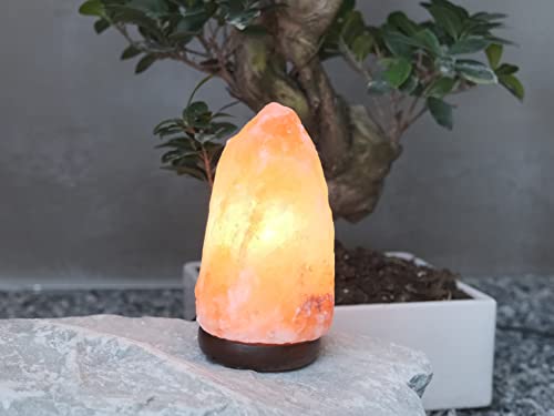 Detalle de BEPER P201UTP100: Lampada di Sale artigianale con intensità di luce regolabile e base in legno
