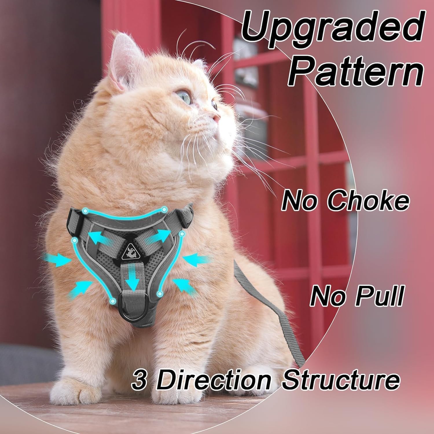 Detalle de Cat Harness and Leash Set, M
