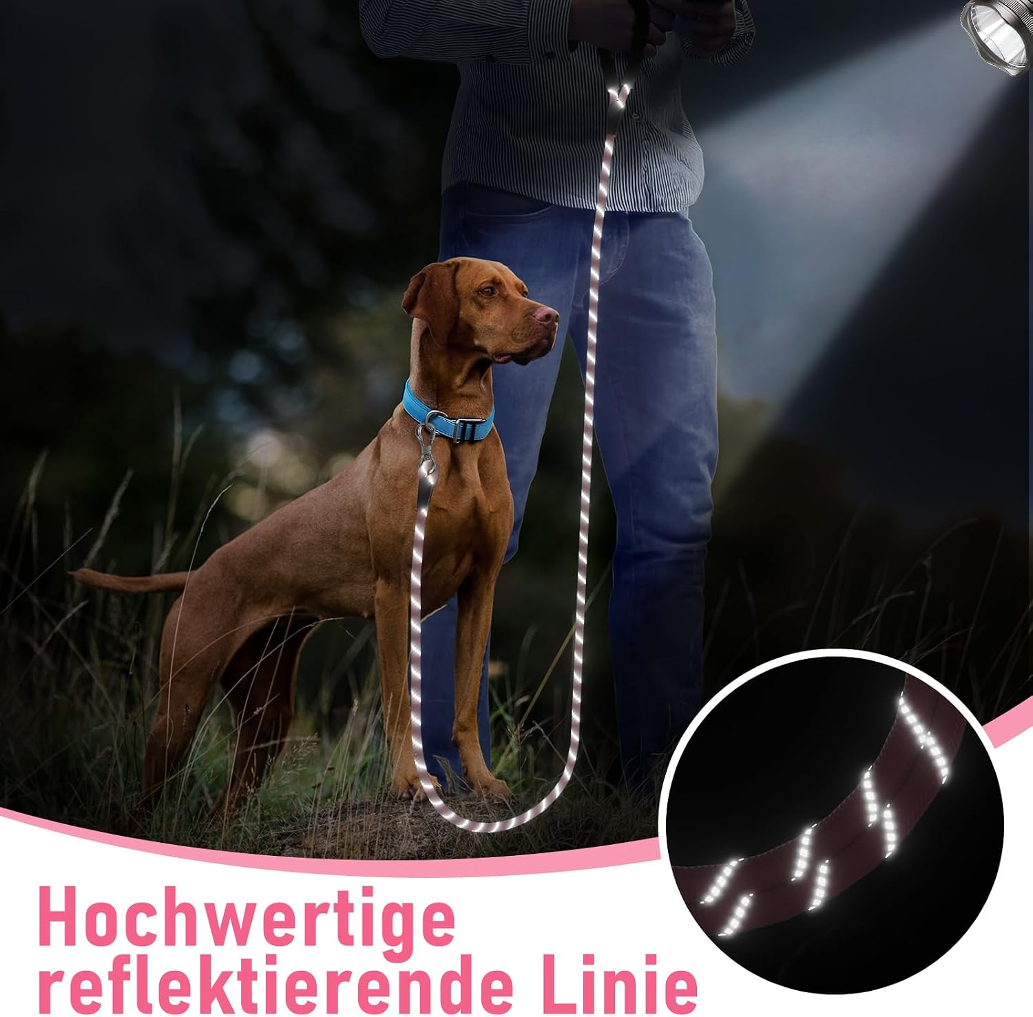 Detalle 2 de X XBEN Schleppleine für Hunde 10 m