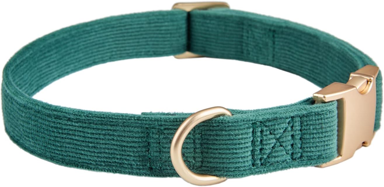 Detalle 2 de YUDOTE Ultra-soft dog collar in natural cotton corduroy (small) – bottle green