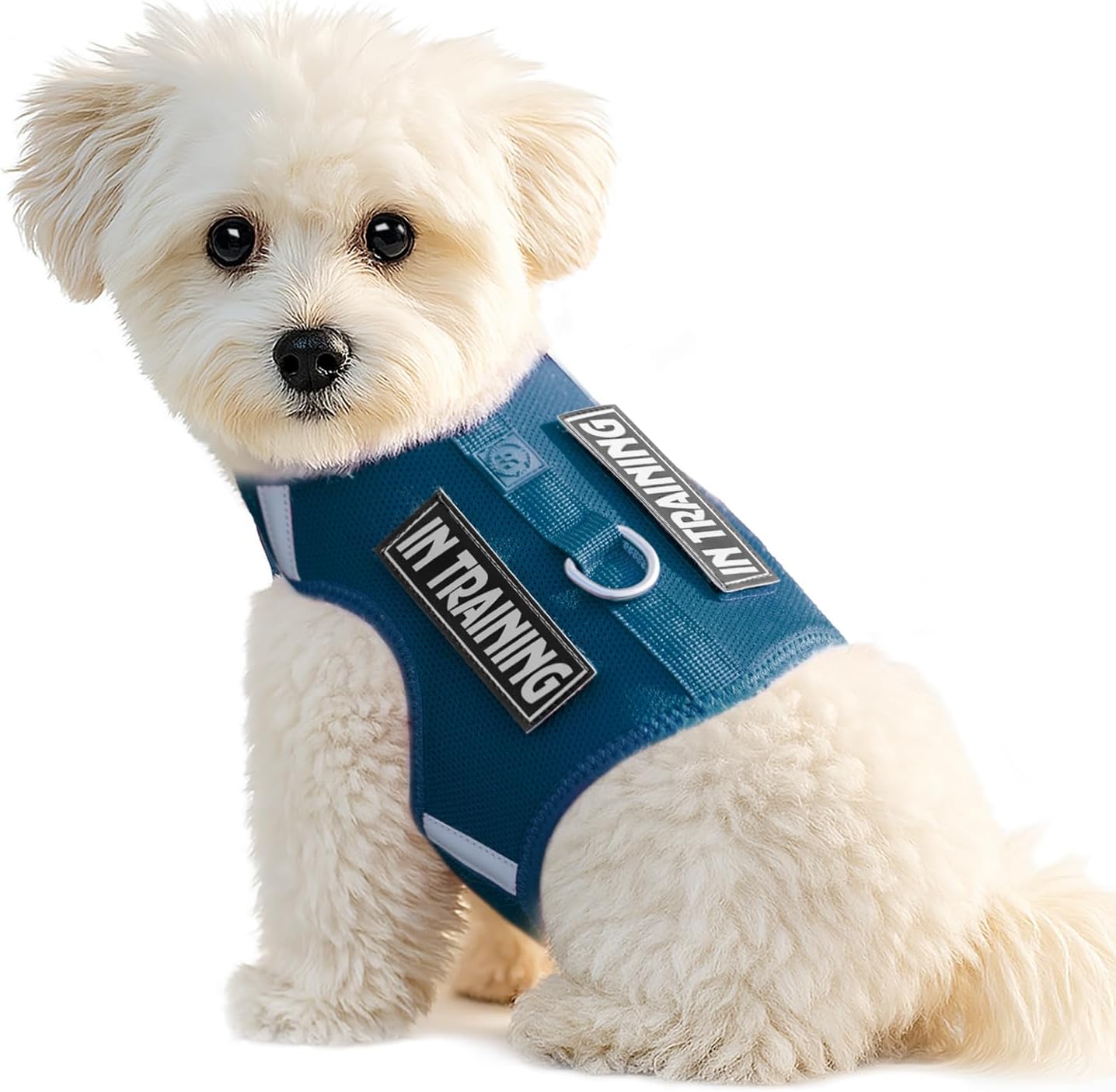 Detalle de Sunraymascota Small Dog Harness with Reflective Panels and Adjustable Fit (Prussian Blue, S)