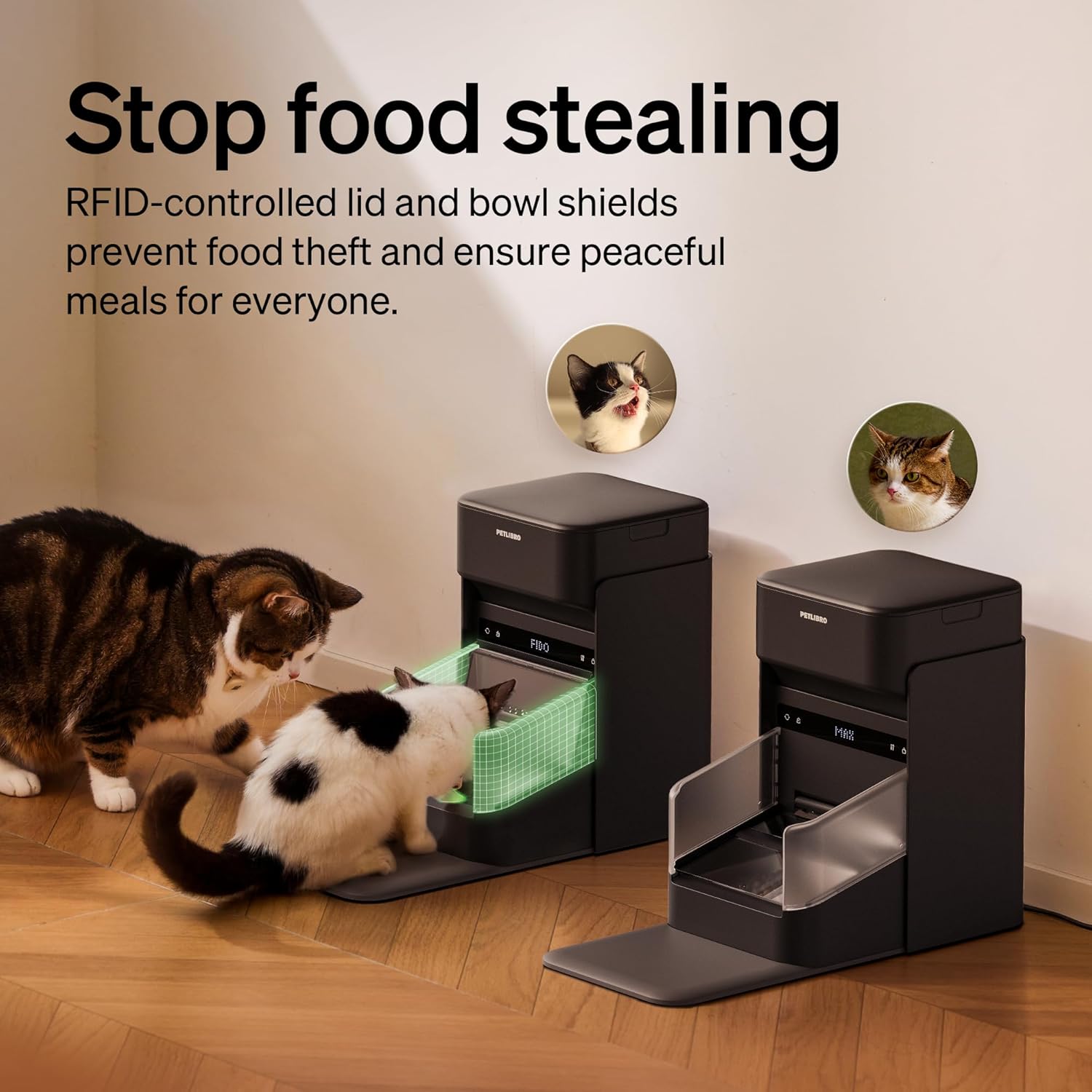 Detalle de PETLIBRO RFID Automatic Cat Feeder with Collar Sensor: Personalized Meals and Real-Time Diet Tracking