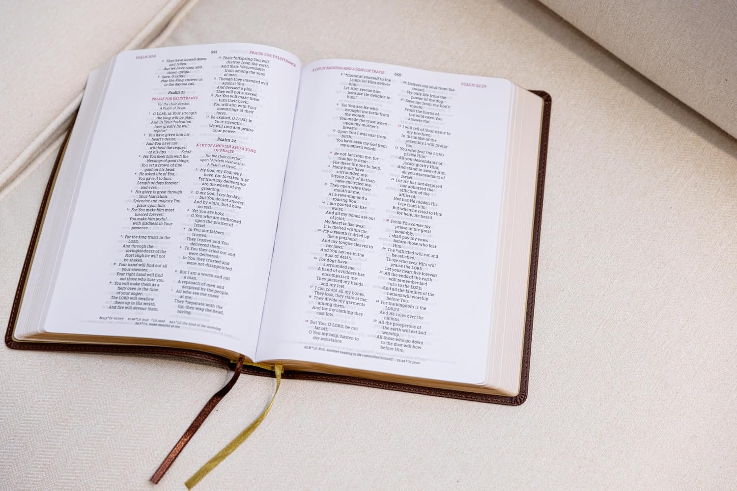 Detalle de Zondervan NASB Wide Margin Bible, Brown Leathersoft, Red Letter, 1995 Text