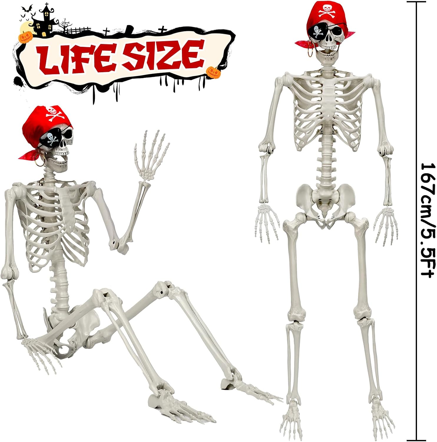 Detalle 2 de MyoGrip SK10 5.5-Foot Posable Halloween Skeleton with Pirate Details