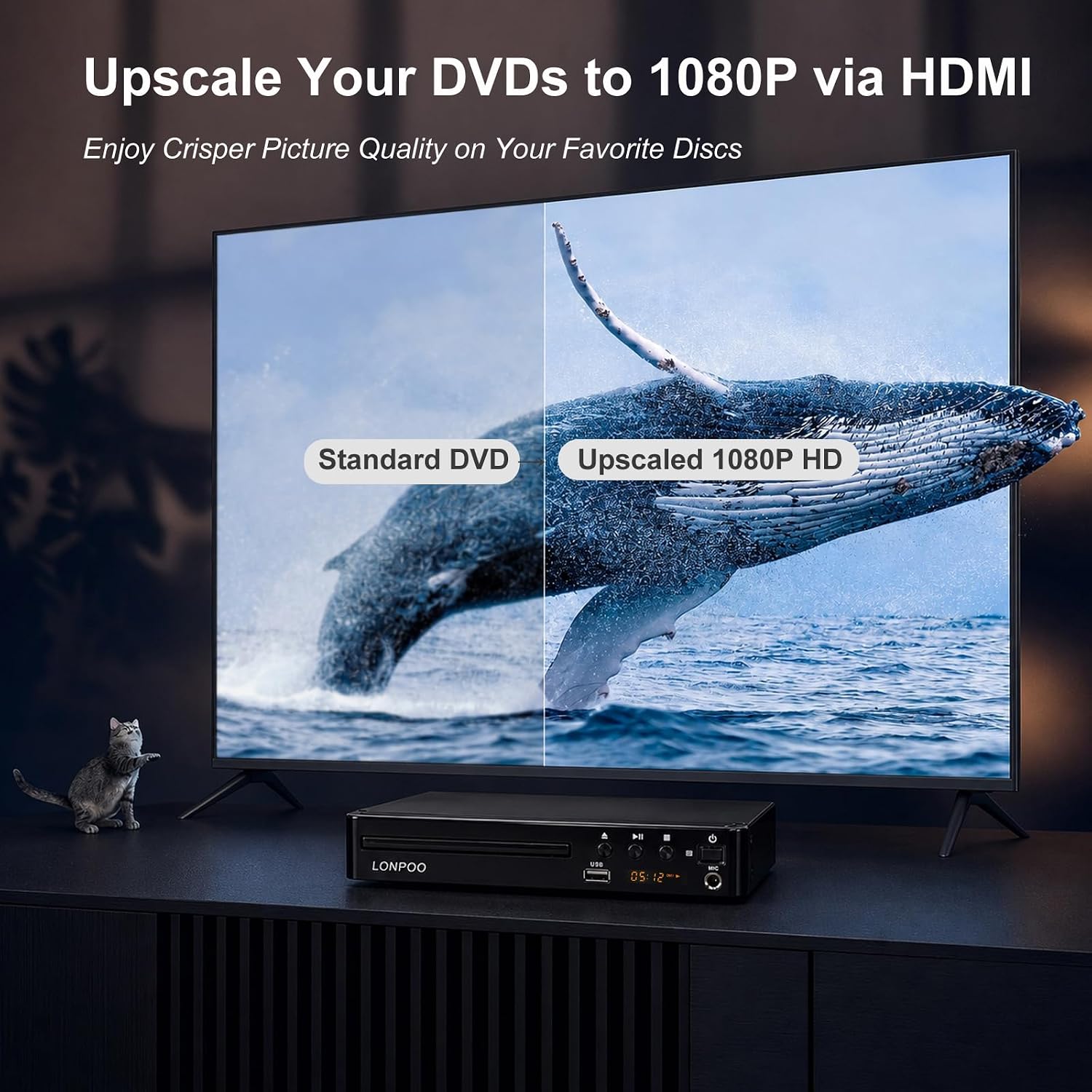 Detalle de LONPOO Region Free HD DVD Player (LP-099): All-Region, 1080p Upscale, USB Media & HDMI Output