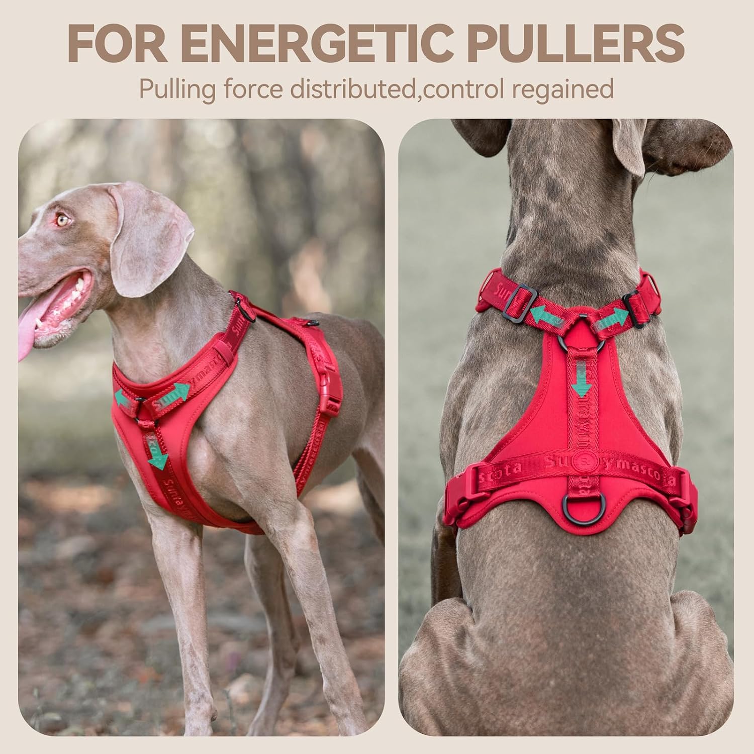 Detalle de Sunraymascota Dog Harness, Lycra