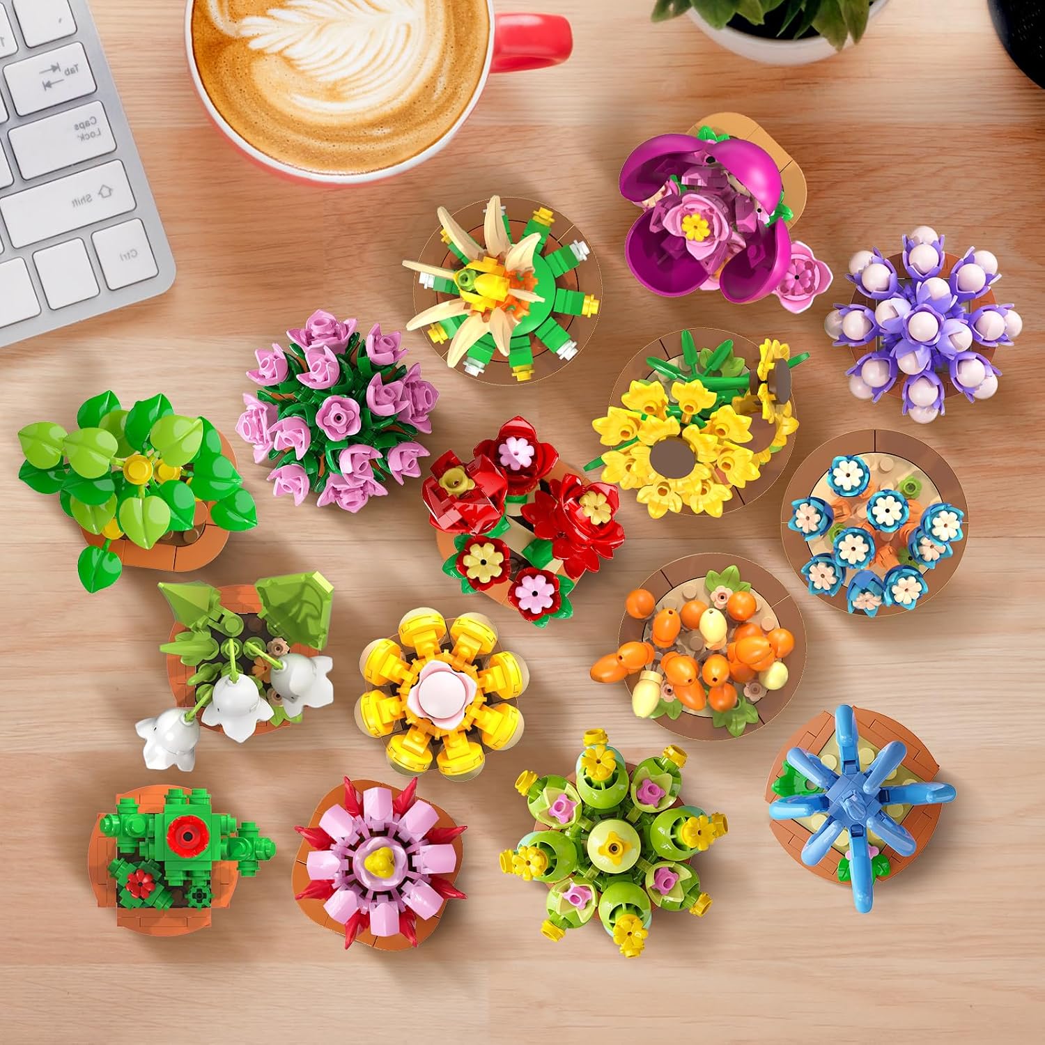 Thumbnail 5 de 24 Blumen Sukkulenten 3,6MM Mini Bausatz