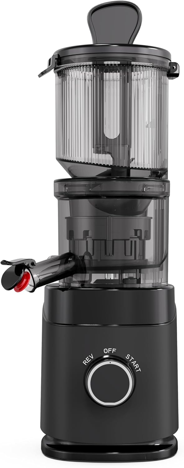 Cold Press Juicer 65 RPM 🧃