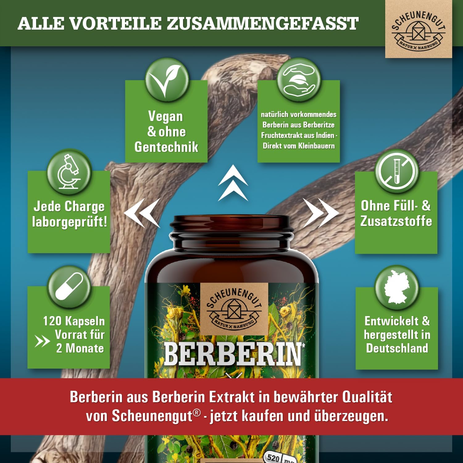 Thumbnail 5 de Berberin 1040mg Tagesdosis Kapseln