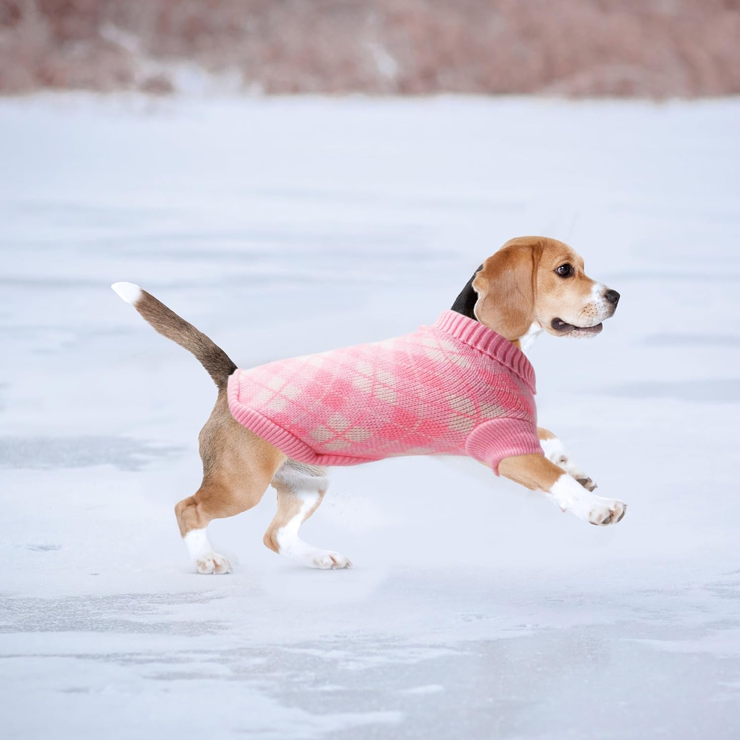 Detalle 2 de PawSailor PawSailor dog jumper XL knitted