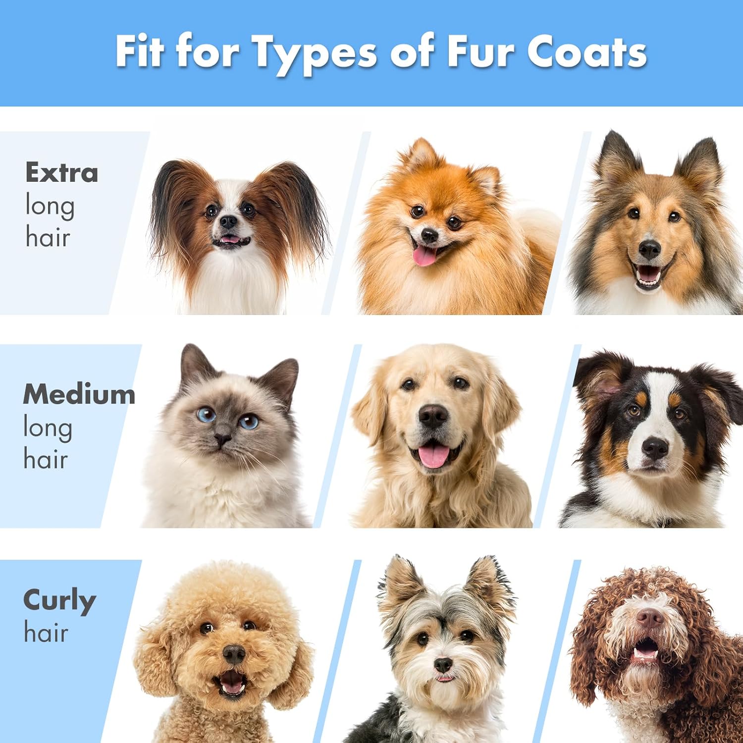 Thumbnail 6 de Neakasa P2 Pro Hundeschermaschine