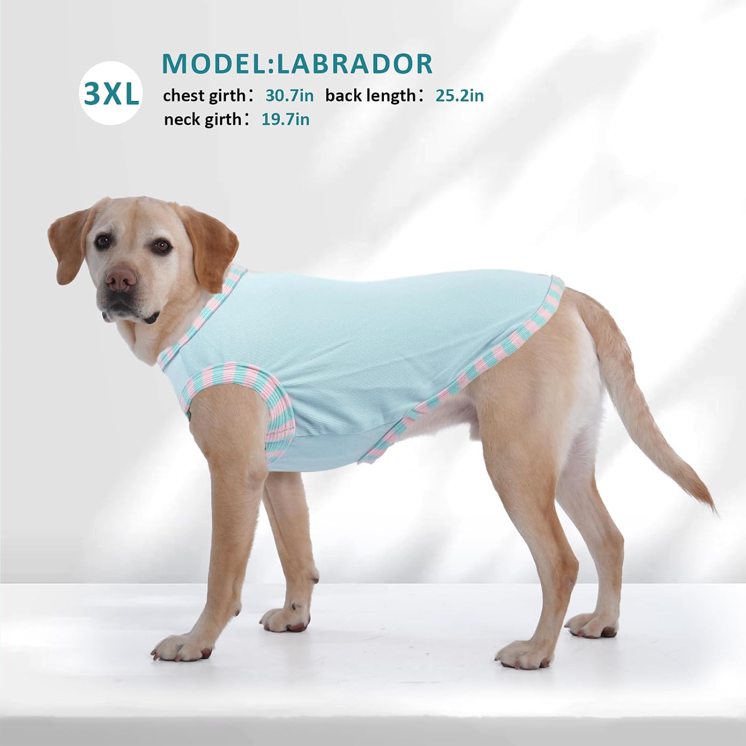Detalle 2 de Katzinst Hunde Shirt 2er Pack 4XL