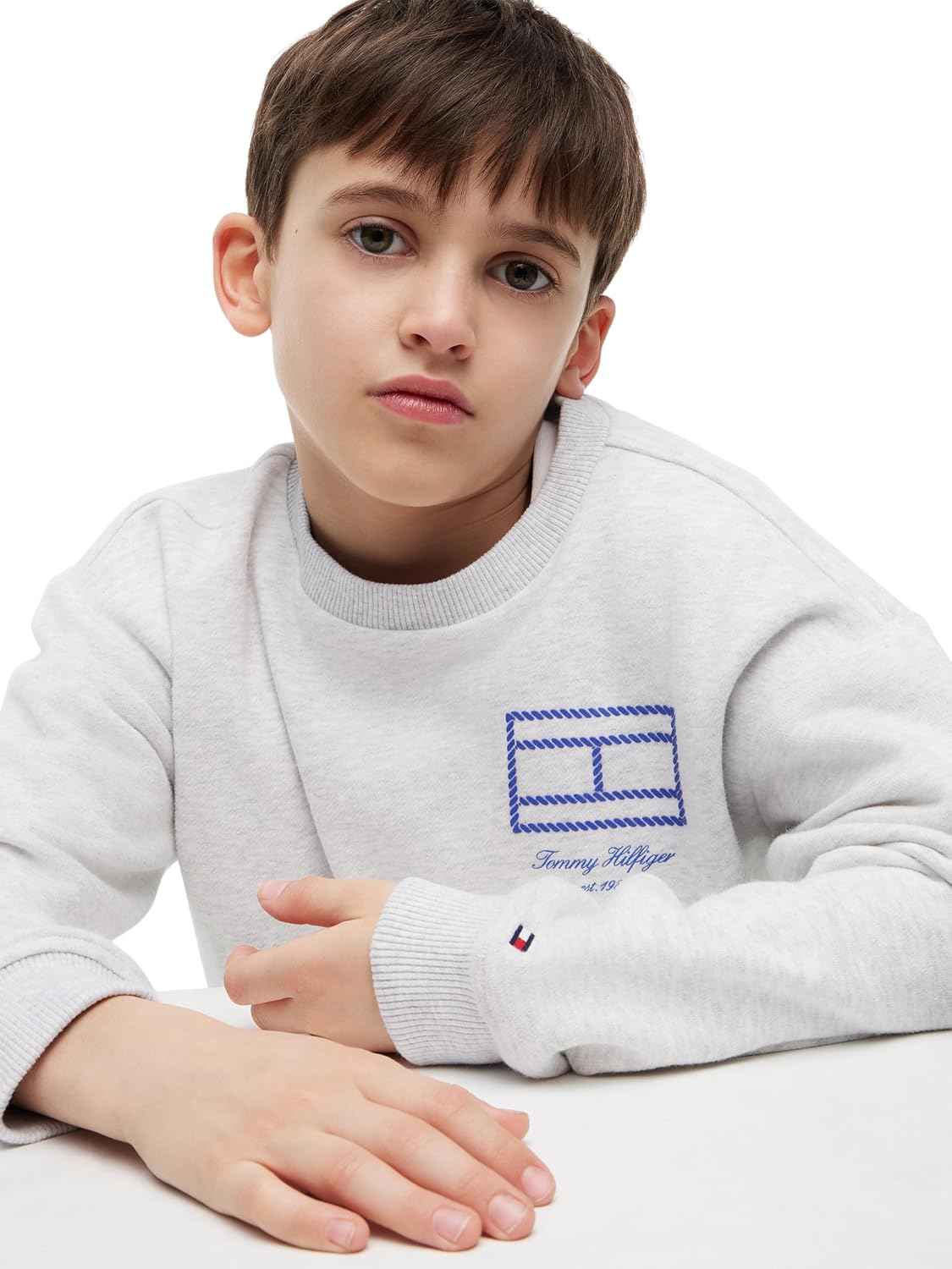 Detalle 2 de Tommy Hilfiger Boy's Pullover Sweatshirt