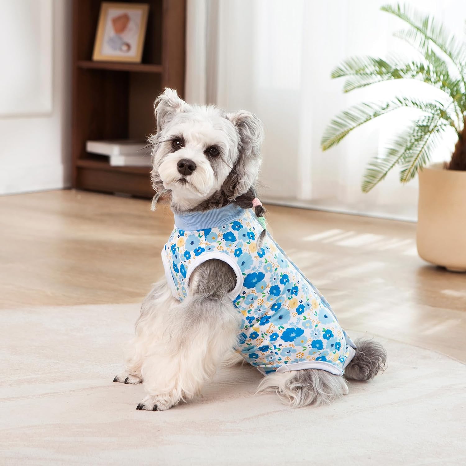 Thumbnail 6 de FEimaX Dog Surgery Recovery Suit: soft post‑op bodysuit for dogs and cats