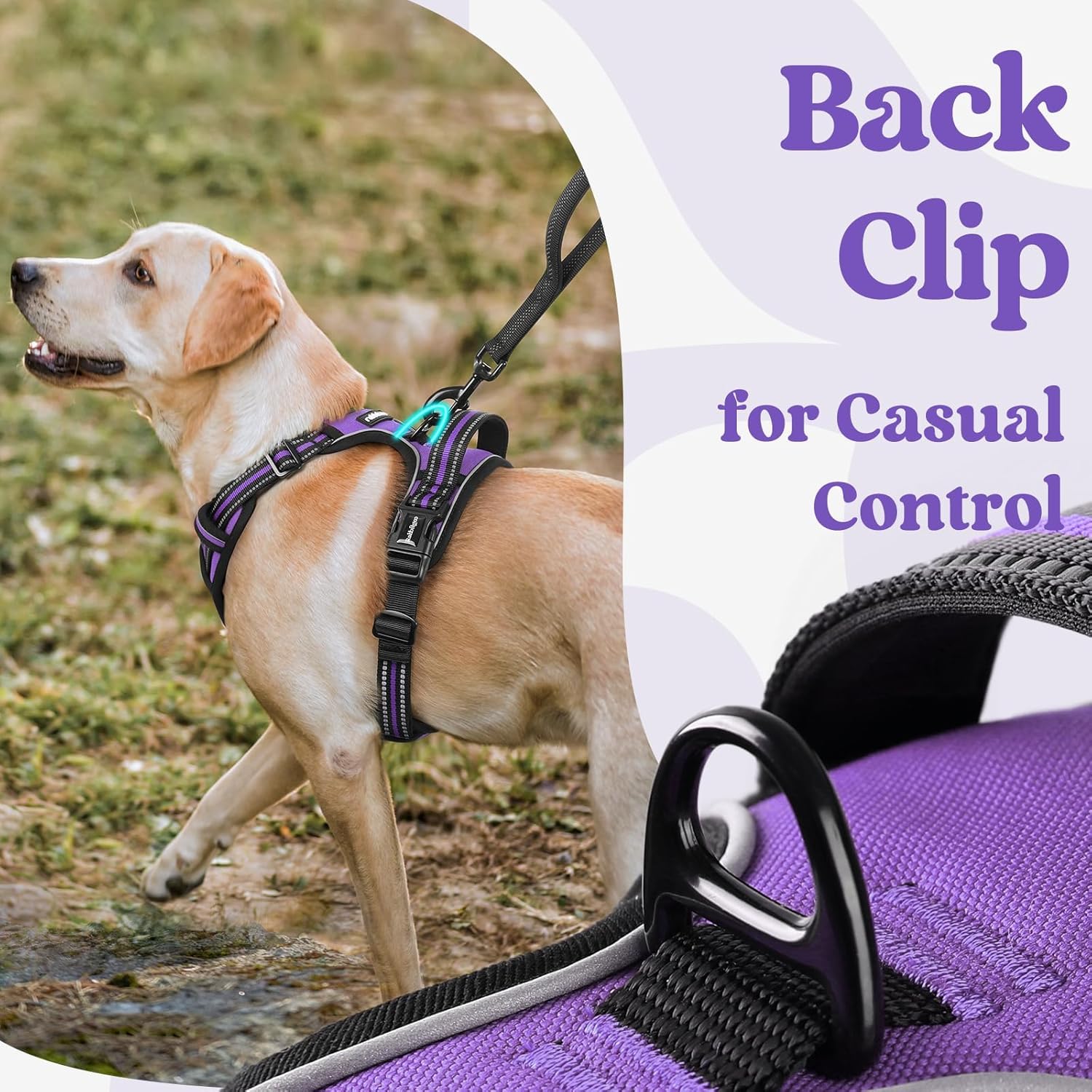 Detalle 1 de rabbitgoo DGBDSCKK01LPE24CW-EU Dog Harness, Large Purple, 3 Buckles