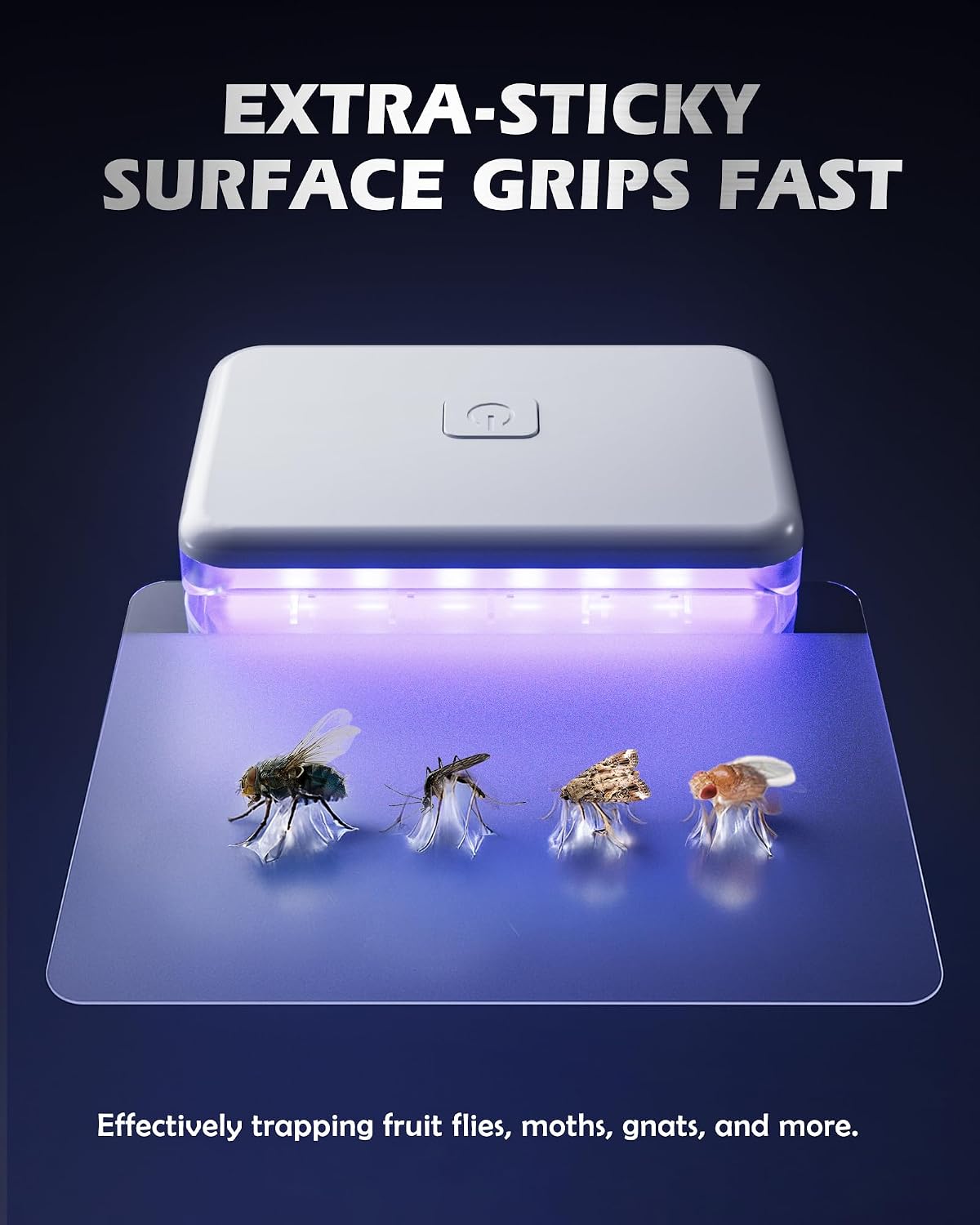 Thumbnail 5 de LFSYS Cube002 Fruit Fly Traps, Plug-In UV Light, 2 Devices and 10 Refills